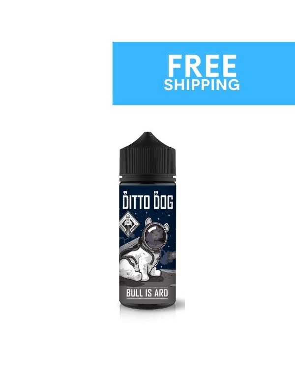 Ditto Dog | Bull Is Ard
